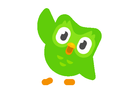 Duolingo Eule